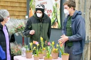Port Townsend STEM Club members Everest Ashford, 16, left, and Nathaniel Ashford, 17, set up their Valentines Day flower fundraiser, along with one of the clubs miniature greenhouses, outside the Food Co-op on Thursday. The fundraising table and flowers will reappear at the Co-op entrance today, Saturday and Monday. (Diane Urbani de la Paz/Peninsula Daily News)
