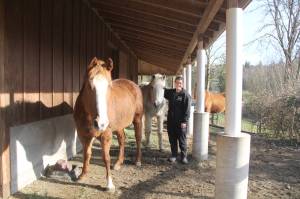 Karen Griffiths

 

Cutline:  Three horses that were rescued from abusive homes and taken to Center Valley Animal Rescue are, Tilly, front, Angel (center) and Diva where they are being rehabilitated and made ready for adoption by Sara  Penhallegon and her crew of volunteers.