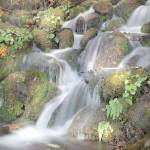 "Prehistoric" by photographer Marian Bodart is part of the show opening this weekend at Studio Bob in downtown Port Angeles. photo by Marian Bodart