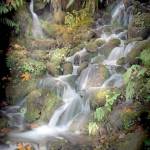 Prehistoric by photographer Marian Bodart is part of the show opening this weekend at Studio Bob in downtown Port Angeles.