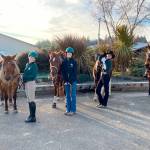 Photo by Katie Newton

 

Cutline: WAHSET competitors from the Sequim and Port Angeles teams get ready to compete in Versatility at the second district meet of the season, held at Gray’s Harbor Fairgrounds, are from left, Sydney Hutton, Haley Bishop, Maggie Anderson, and Libby Swanberg getting ready for Versatility