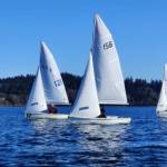 Keith Dahlin photo The Port Angeles High School sailing team competed off Silverdale earlier this month. Boat No. 121 is skippered by Luna Hutchin with crewmate Charlie Kasten, boat No. 156 is skippered by Ozzy Minard with crewmate Ella Shultz and boat No. 122 is skippered by Elliot Dahlin Skipper with cremate Fern Knobel.