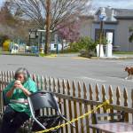 Kelly Toy of Port Townsend sips a beverage Tuesday afternoon at the Seal Dog Coffee-Uptown Pub streatery on Lawrence Street. The Port Townsend City Council is considering making the pandemic-spurred streatery program permanent. (Diane Urbani de la Paz/Peninsula Daily News)