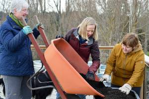 xAt the Recovery Cafe in Port Townsend, Nordland Garden Club members -- from left, Alice Tibbals, Sandy Haynes and Leslie Watkins -- established a new patio garden earlier this month. Its vegetables and berries will go into the free meals prepared in the cafe kitchen. Diane Urbani de la Paz/Peninsula Daily News