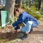 Clair Dunlap, youth services librarian with the North Olympic Library System, installs a placard with a poem by Raymond Carver along the Living Forest Trail behind the Olympic National Park visitor center in Port Angeles on Tuesday. (Keith Thorpe/Peninsula Daily News)