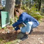 Clair Dunlap, youth services librarian with the North Olympic Library System, installs a placard with a poem by Raymond Carver along the Living Forest Trail behind the Olympic National Park visitor center in Port Angeles on Tuesday. (Keith Thorpe/Peninsula Daily News)
