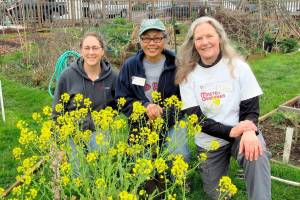 Laurel Moulton, left, Audreen Williams and Jan Barton will lead an educational walk through the Fifth Street Community Garden on Saturday in Port Angeles.