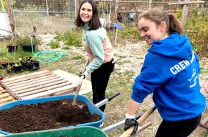 Student project manager Jeanette Patric, left, helps Hailey Gallagher shovel soil for native plants for their senior project  a remodel of Northwest Watershed Institutes native plant nursery. (Northwest Watershed Institute)