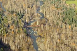 The Jamestown SKlallam Tribes staff will receive authority to grant, deny or waive certifications of proposed federal licenses or permits that may discharge into waters of the United States once its plan is approved by the Environmental Protection Agency. This applies to its reservation and trust lands, such as surface waters on almost 645 acres including the Dungeness River, seen here in November 2020. (Michael Dashiell/Olympic Peninsula News Group)