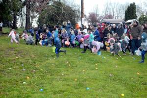 Children burst from the starting area in search if treat-filled plastic eggs during Saturdays 44th annual KONP Easter Egg Hunt at the Clallam County Fairgrounds in Port Angeles. Hundreds of children and their parents took part in the event, which also featured a visit from the Easter Bunny and a drawing for prizes. (Keith Thorpe/Peninsula Daily News)
