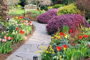 Andrew May/For Peninsula Daily News
Spring bulbs and plants lead garden guests along pathways with tempting colors.
