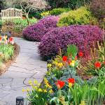Spring bulbs and plants lead garden guests along pathways with tempting colors. (Andrew May/For Peninsula Daily News)