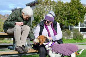 Pet Helpers volunteers Marla Tangen, left, and Lois Davis offer treats to Lady Bird, Davis dog. Tangen and Davis are helping organize the Pet Helpers yard sale later this month. (Diane Urbani de la Paz/Peninsula Daily News)
