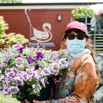 Bonnie White, Swan Schools assistant head of school, carries one of the hanging baskets that will be sold this weekend.