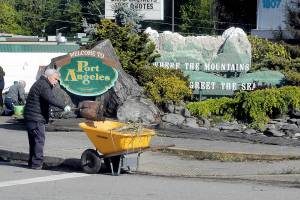 Keith Thorpe/Peninsula Daily News
Port Angeles Business Association member John Brewer fills a wheelbarrow with weeds and dirt during a clean-up effort to beautify the Port Angeles welcome display Front Street and Ennis Cutoff on Saturday. A team of association members along with their friends and families took part in the activity.