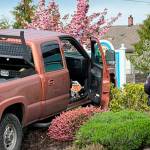 Sgt. Carolee Edwards inspects the scene in front of Hurricane Ridge Veterinary Hospital, where a Tacoma woman crashed a truck after allegedly evading police throughout Sequim. (Roger Huntman)
