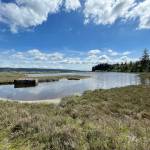 Gardiner residents have filed a petition in Jefferson County to create a no shooting area tht would prohibit the discharge of firearms across and around the lagoon and wetlands managed by state Fish and Wildlife that is a popular gathering spot for migratory birds.