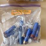 Gardiner residents regularly collect spent shotgun shells left by hunters during waterfowl season. (Paula Hunt/for Peninsula Daily News)