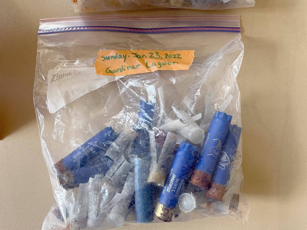 Gardiner residents regularly collect spent shotgun shells left by hunters during waterfowl season. (Paula Hunt/for Peninsula Daily News)