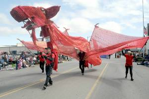 A stylized dragon with its mouth operated by Kurt White makes its way down Washington Street as part of the Olympic Theatre Arts entry in Saturdays Sequim Irrigation Festival Grand Parade. The event returned to an in-person activity with more than 90 entries and thousands of spectators lining the parade route. (Keith Thorpe/Peninsula Daily News)