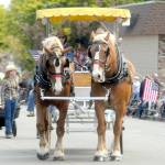 A pair of draft horses pull a wagon representing Blue Mountain Belgians in Saturdays grand parade in Sequim. (Keith Thorpe/Peninsula Daily News)