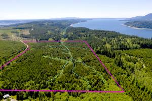 The Northwest Watershed Institute has purchased 91 acres from Rayonier to have the land preserved. A boundary line has been drawn over a photograph by John Gussman.