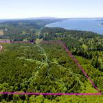 The Northwest Watershed Institute has purchased 91 acres from Rayonier to have the land preserved. A boundary line has been drawn over a photograph by John Gussman.