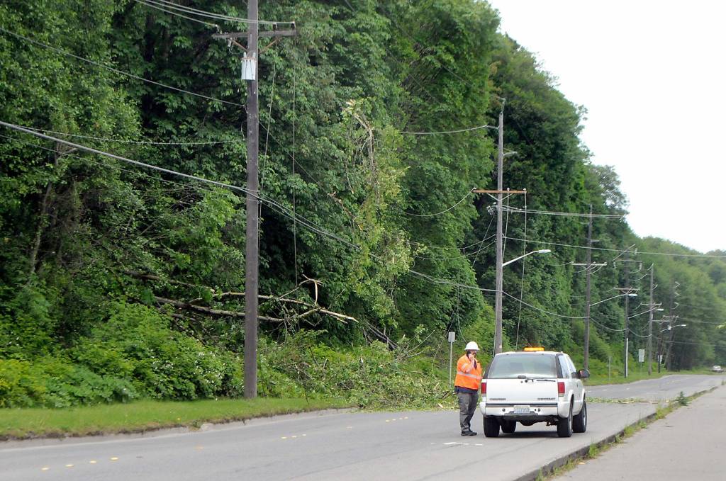 Keith Thorpe/Peninsula Daily News
A Port Angeles Public Works & Utilities employee stands at the scene of a tree that toppled onto a power line on Marine Drive near west Boat Haven on Thursday.