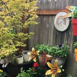 Karen Teig for Master Gardener Foundation
A scene from one of the gardens on the Petals and Pathways Garden Tour is pictured here.