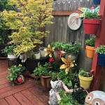 A scene from one of the gardens on the Petals and Pathways Garden Tour is pictured here. (Karen Teig for Master Gardener Foundation)