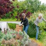 Tim ONeill, Ginger Fortier and Honey Neimann, all from Port Townsend and members of Jefferson County Master Gardeners Foundation, pick weeds and do other clean up at Dahlia Park, on the corner of 10th St. and Sims Way in Port Townsend on Wednesday afternoon. (Steve Mullensky/for Peninsula Daily News)