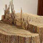 Tree stumps made of cardboard and other creations by Karne Rudd are on view at the Jefferson Museum of Art & History.