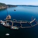 In this photo provided by the state Department of Natural Resources, a crane and boats are anchored next to a collapsed net pen used by Cooke Aquaculture Pacific to farm Atlantic Salmon near Cypress Island on Aug. 28, 2017, after a failure of the nets allowed tens of thousands of the nonnative fish to escape. A state jury on Wednesday awarded the Lummi Indian tribe $595,000 over the collapse of the net pen where Atlantic salmon were being raised, an event that elicited fears of damage to wild salmon runs and prompted the Legislature to ban the farming of the nonnative fish. (David Bergvall/Washington State Department of Natural Resources via AP, File)