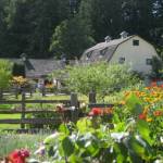 The annual Concerts in the Barn series in Quilcene runs July 9 through Sept. 4. (Concerts in the Barn)