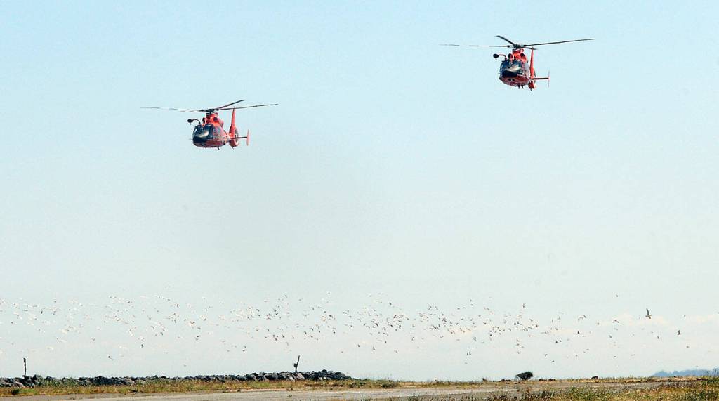 A pair of U.S. Coast Guard helicopters containing the incoming and outgoing commanding officers of U.S. Coast Guard Air Station/Sector Field Office Port Angeles make a flyby of the station during Thursdays change of command ceremony. (Keith Thorpe/Peninsula Daily News)
