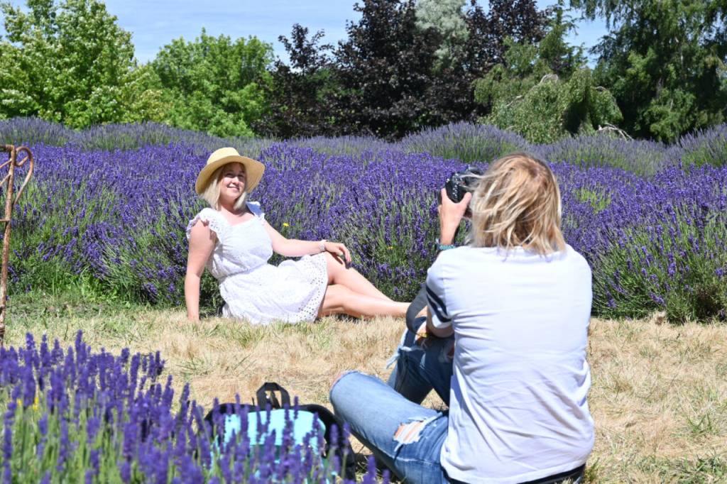 Anna Gnilomedova, right, takes a photo of Oksana Kovalchuk at Jardin du Soliel Lavender Farm & Gift Shop on July 15. Originally from Ukraine, Gnilomedova and Kovalchuk live in Seattle and were on the Olympic Peninsula for several days visiting Olympic National Park sites (Sol Duc, Lake Crescent, Hurricane Ridge) before visiting lavender farms in Sequim. (Michael Dashiell/Olympic Peninsula News Group)