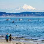 Steve Mullensky/for Peninsula Daily News

Mount Baker shines in morning sunshine last week as dozens of fishermen try their luck in the waters off the Point Wilson Light House.  Fishing is also open this week from Thursday through Saturday.