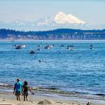 Mount Baker shines in morning sunshine last week as dozens of fishermen try their luck in the waters off the Point Wilson Lighthouse. Fishing is also open this week from Thursday through Saturday. (Steve Mullensky/for Peninsula Daily News)