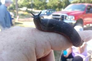 Photo by Sam Nugent
Extreme Slug Racing’s 2022 winner, Big Kahuna, sponsored by Northwest Board Room, pauses for a photo after winning race No. 1 and No. 2 in Saturday’s annual event. The races are held in conjunction with Joyce Daze, with all proceeds benefiting Clallam County Fire district No. 4 in Joyce.