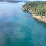 An aerial photo released Saturday by the U.S. Coast Guard shows a diesel spill off the west coast of San Juan Island after a 49-foot fishing vessel sank with an estimated 2,600 gallons of fuel on board. A Good Samaritan rescued all five crew members on the Aleutian Isle as the vessel was sinking near Sunset Point, the Coast Guards 13th District Pacific Northwest district in Seattle and KIRO-TV reported. (U.S. Coast Guard via The Associated Press)