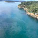An aerial photo released Saturday by the U.S. Coast Guard shows a diesel spill off the west coast of San Juan Island after a 49-foot fishing vessel sank with an estimated 2,600 gallons of fuel on board. A Good Samaritan rescued all five crew members on the Aleutian Isle as the vessel was sinking near Sunset Point, the Coast Guards 13th District Pacific Northwest district in Seattle and KIRO-TV reported. (U.S. Coast Guard via The Associated Press)