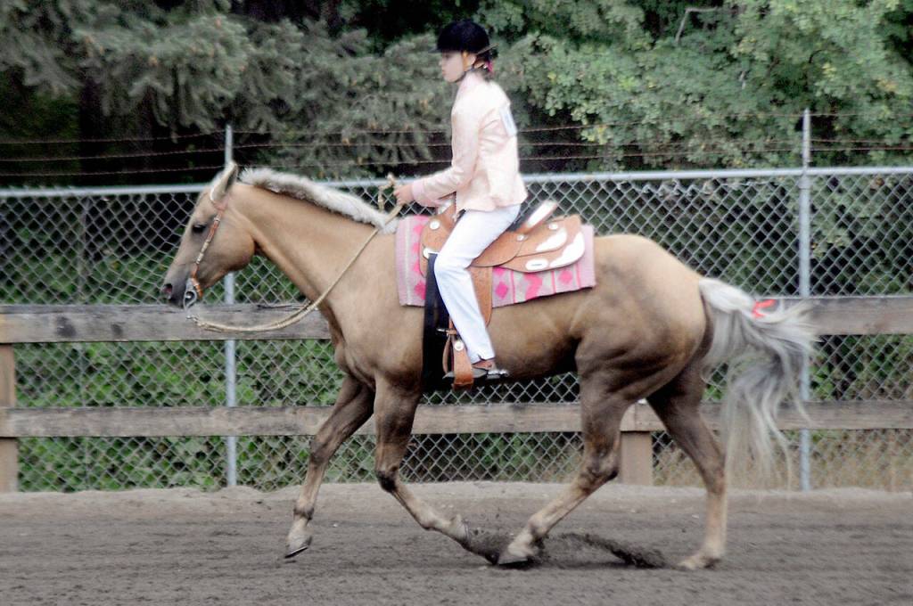 Katelynn Sharpe, 14, of Sequim, representing the Neon Riders 4H Club, gallops her horse, Zoe, around the show ring as a warmup before judging on Saturday at the Clallam County Fair. (Keith Thorpe/Peninsula Daily News)