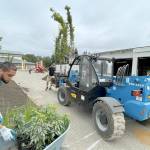 Sterling Bradby lays out plants to line a new walkway. (Steve Murakami)
