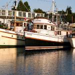 Steve Mullensky/for Peninsula Daily News


Classic wooden boats on display during the 45th Wooden Boat Festival at Point Hudson Marina, in Port Townsend, on Friday. The festival will run until Sunday.
