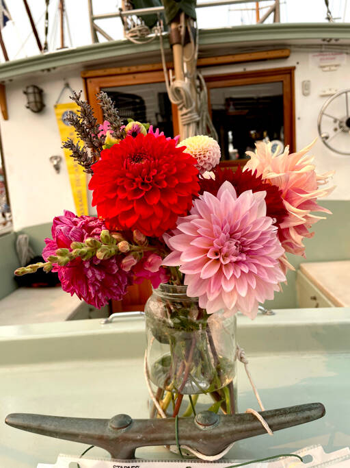 Colorful bouquets of late-summer blooms decorate many of the boats at the 45th Wooden Boat Festival. As they have for about eight years, members of the Port Townsend High School sailing club gather donations of flowers, create bouquets and sell them for $10 to boat owners. The 65 bouquets sold out quickly. (Paula Hunt/Peninsula Daily News)