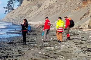 Clallam County Search and Rescue crews walk the beach at Dungeness Spit on Friday. The sheriffs office suspects the remains found are from a seaplane crash near Whidbey Island on Sept. 4. (Clallam County Sheriffs Office)