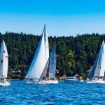 Photo by Fran Reisner Thompson / From left, sailboats Imua (skipper Alan Clark), Denali (skipper Bob MacCauley), Gizmo (skipper John Thompson), race committee boat (skipper Jerry Fine), Sirius (skipper Durkee Richards) and Pinafore (skipper Bernie Armstrong) compete in the Reach and Row for Hospice on Sequim Bay on Sunday.