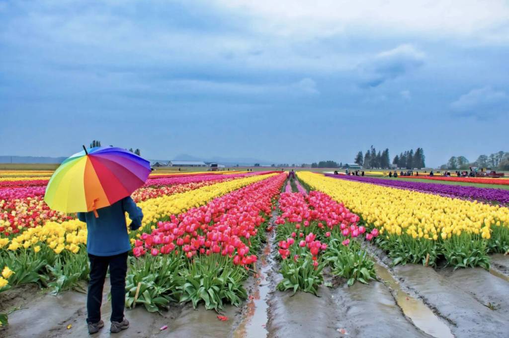 Runner up prize-winning photo by Jim Larison. Photo courtesy First Fed