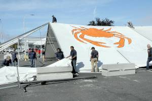 A crew from Bothel-based Grand Event Rentals erects a dining tent in the parking lot of the 48 Degrees North restaurant along the Port Angeles waterfront on Wednesday. The tent will serve as the focal point for food and entertainment for this weekends three-day Port Angeles Crab Festival, which begins Friday. (Keith Thorpe/Peninsula Daily News)
