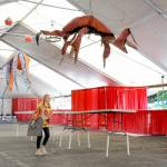 Festival volunteer Brenley Mason of Port Angeles carries a curtain support plate through the main dining tent on Thursday in preparation for this weekends Dungeness Crab & Seafood Festival near the waterfront in downtown Port Angeles. The three-day festival begins today and runs through Sunday. For more information, see Page A6. (Keith Thorpe/Peninsula Daily News)
